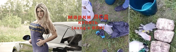 ALPHA PVP Иннополис