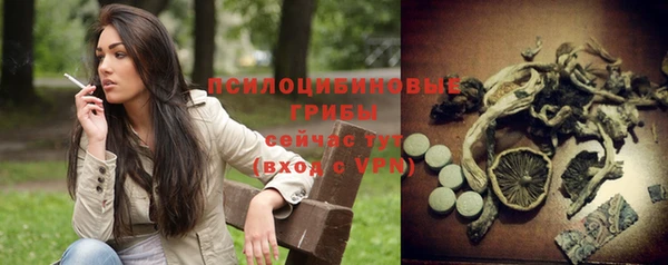 ALPHA PVP Иннополис