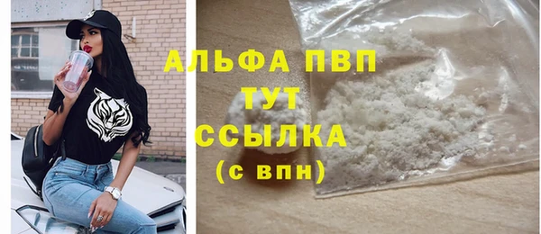 ALPHA PVP Иннополис