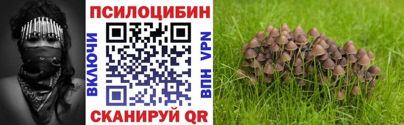 Галлюциногенные грибы Psilocybe  Купить закладки  Елабуга 